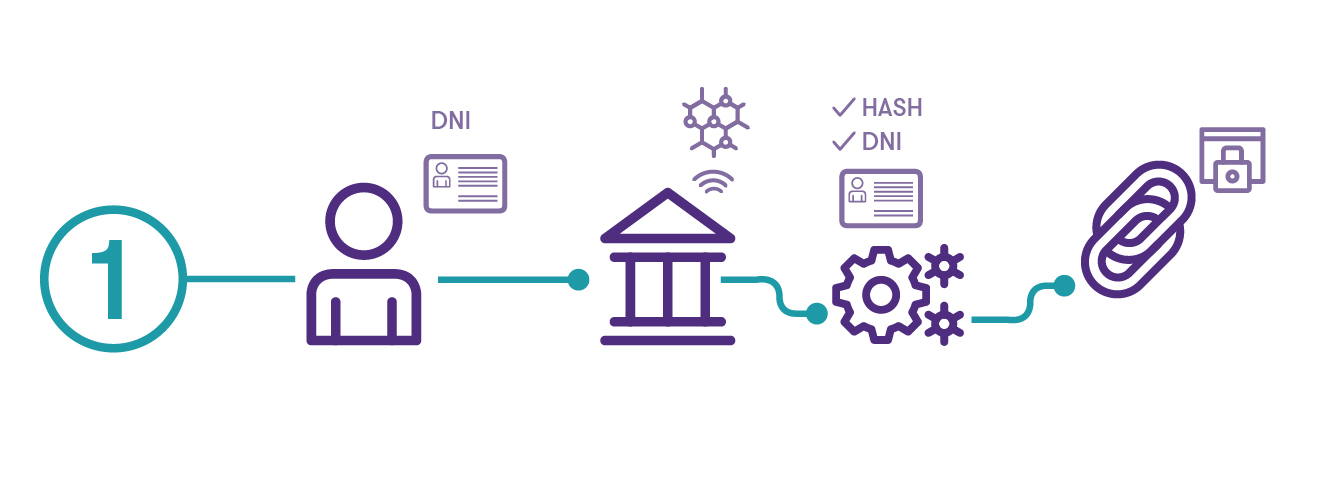 niuron_infografia-01